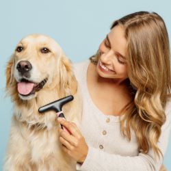 dog groomer