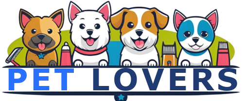 Logo to Home Page